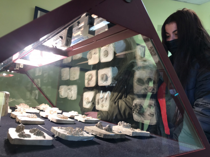 “Calchi storici in gesso”: conclusa la mostra a Valenza